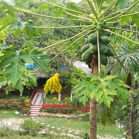 Entre Bosques Tayrona Villa Los Naranjos Rum bild