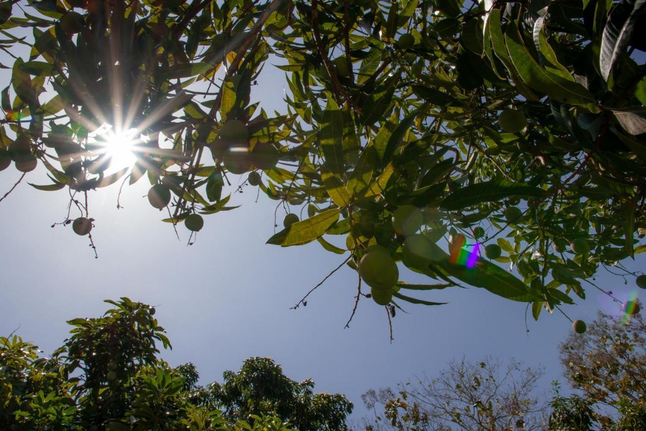 Entre Bosques Tayrona Villa Los Naranjos Exteriör bild