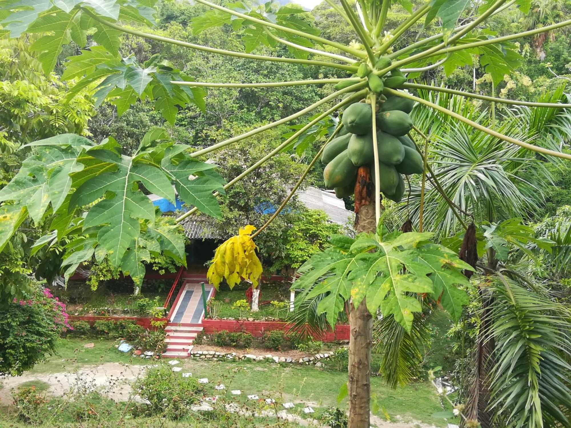 Entre Bosques Tayrona Villa Los Naranjos Rum bild