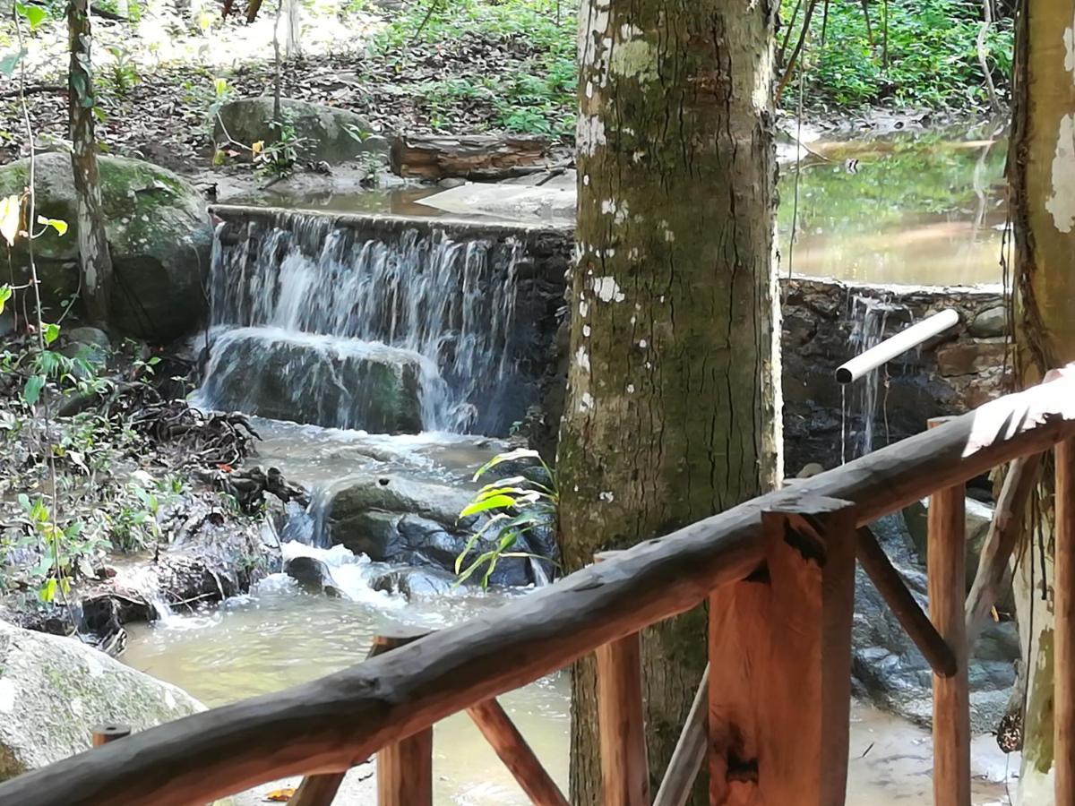 Entre Bosques Tayrona Villa Los Naranjos Exteriör bild